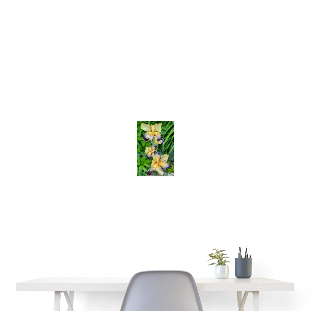 Poster 8x12 Flower Bloom 3 - By Brother John Dunning - white