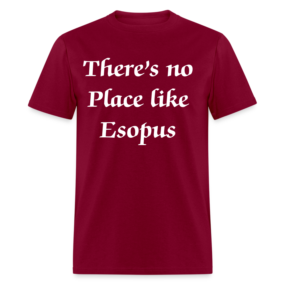 Unisex Classic T-Shirt - burgundy