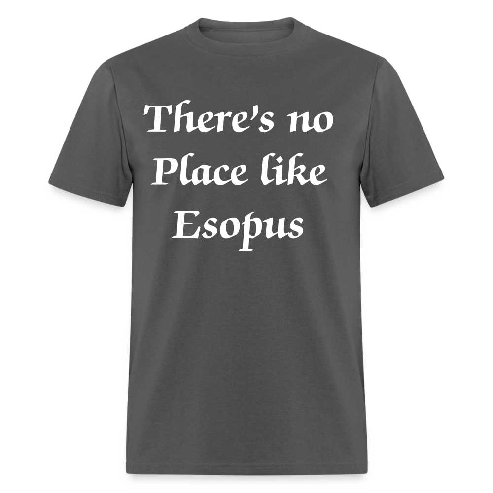 Unisex Classic T-Shirt - charcoal