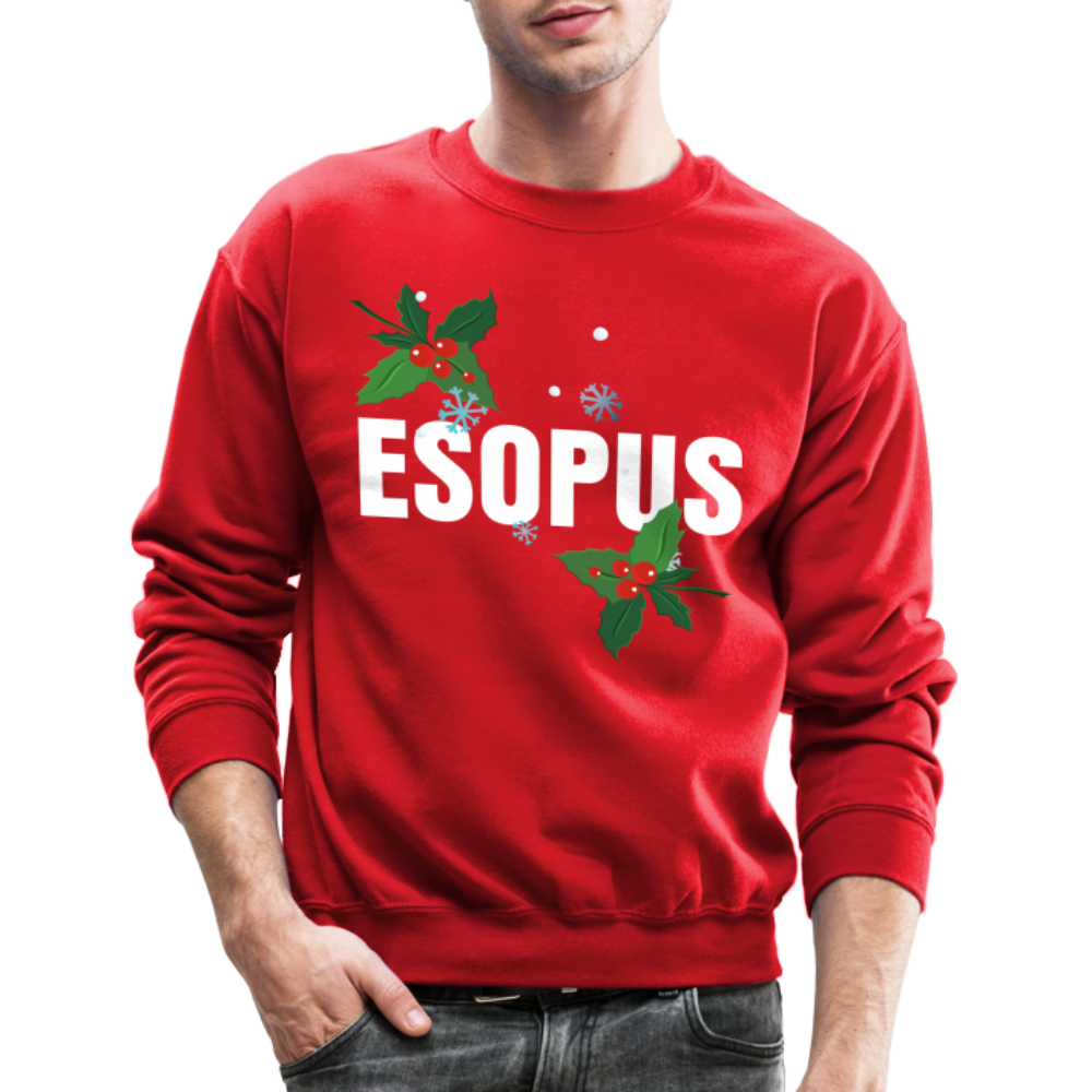 Crewneck Christmas Sweatshirt - red