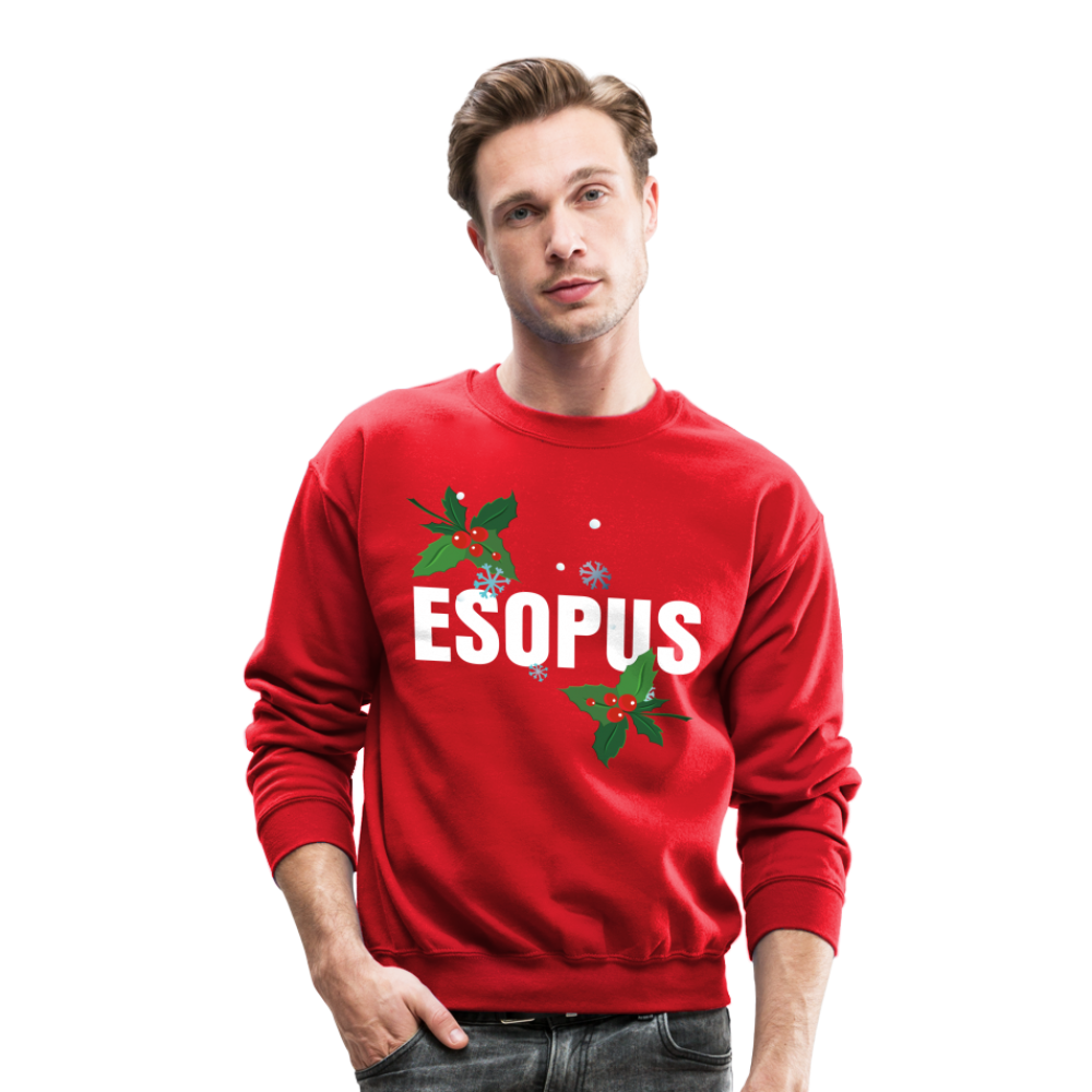 Crewneck Christmas Sweatshirt - red