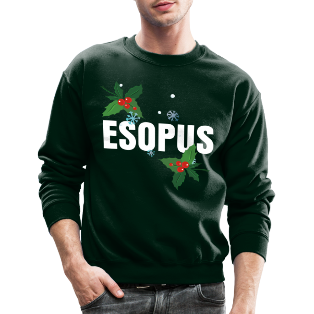 Crewneck Christmas Sweatshirt - forest green