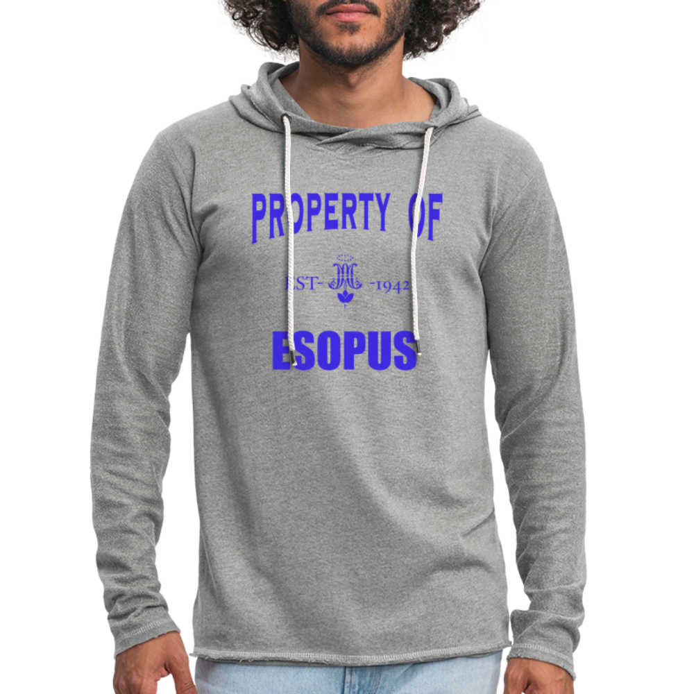 Unisex Lightweight Terry Hoodie - heather gray