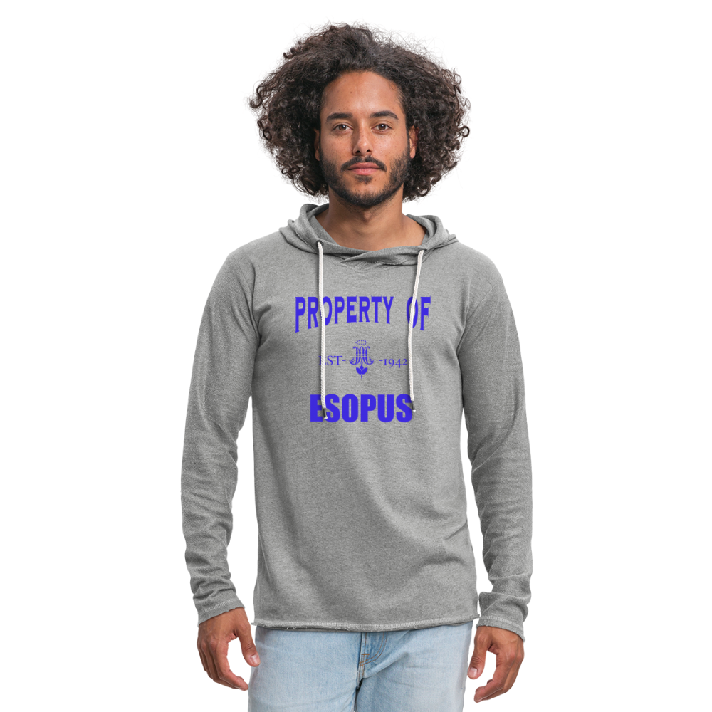 Unisex Lightweight Terry Hoodie - heather gray