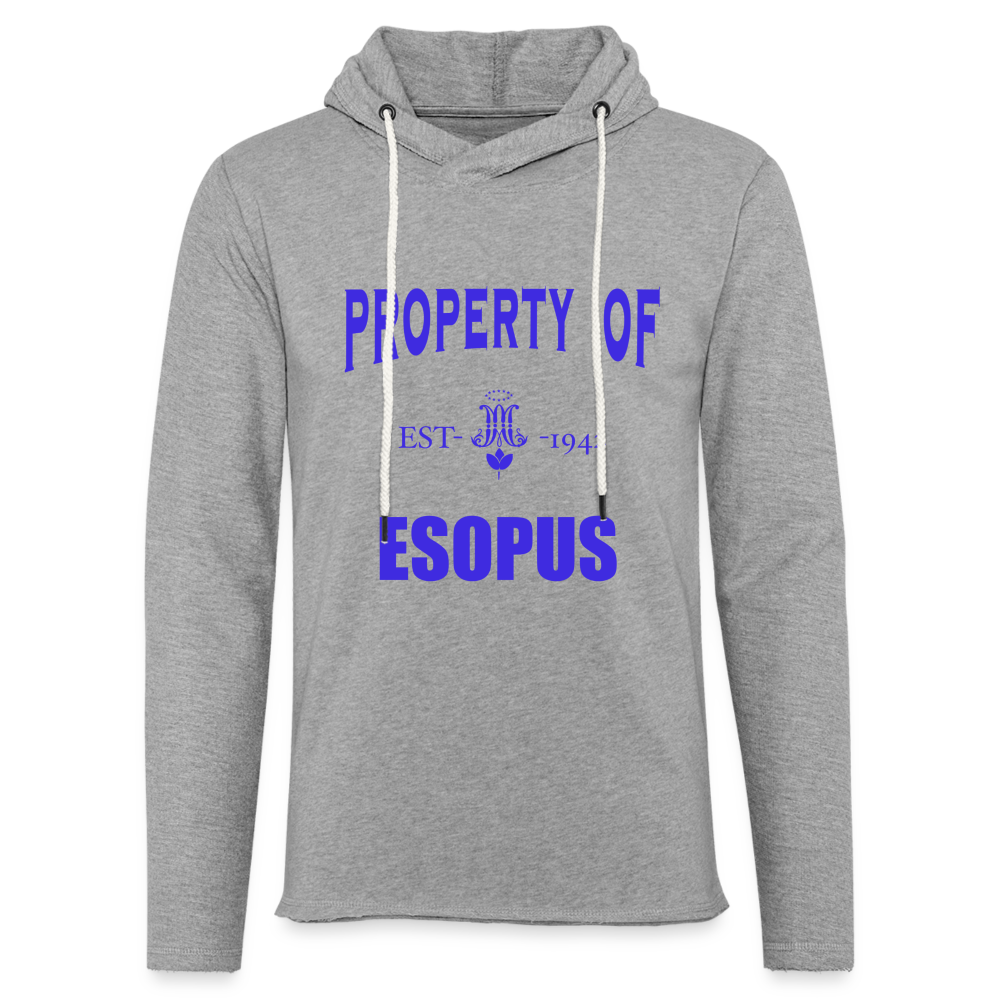 Unisex Lightweight Terry Hoodie - heather gray