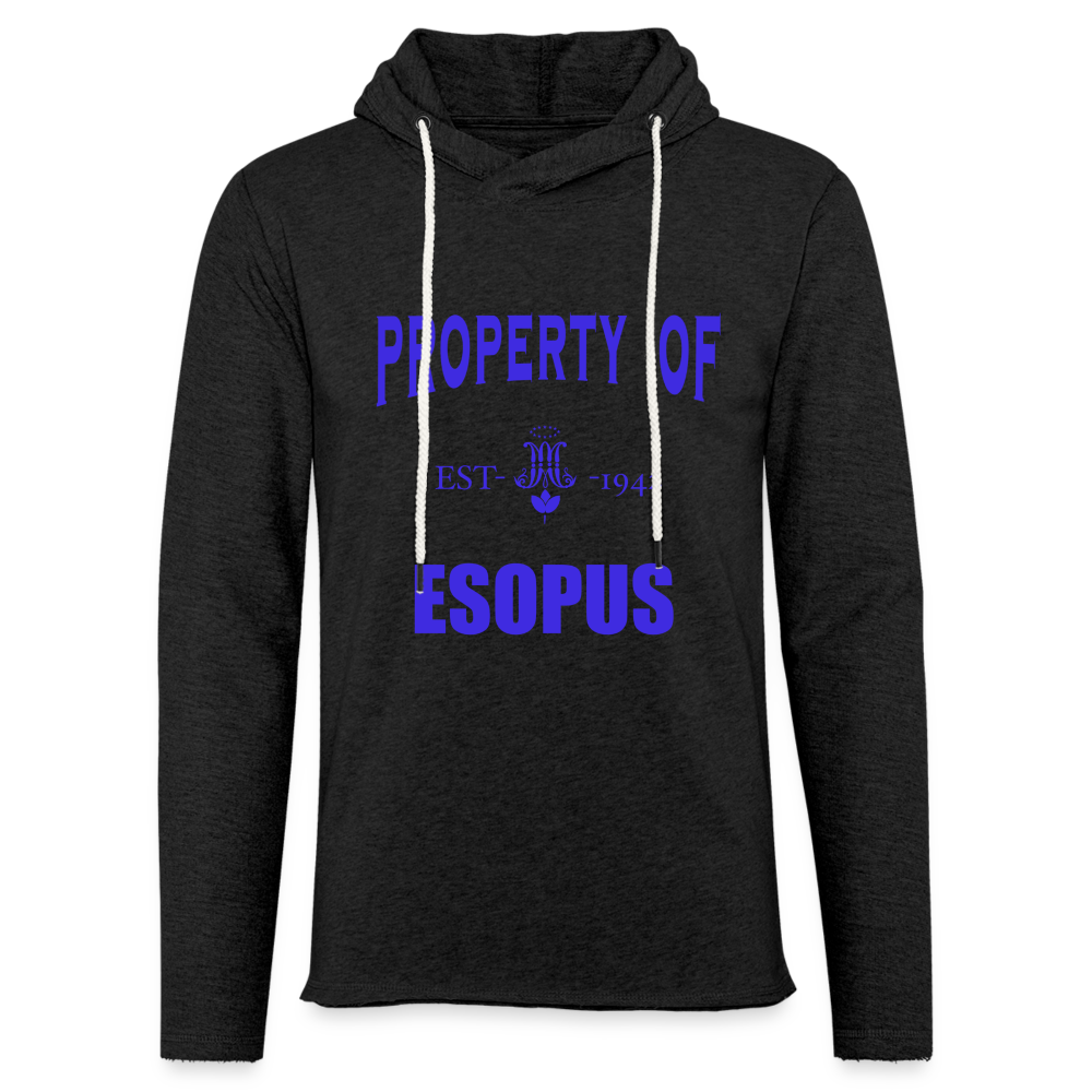 Unisex Lightweight Terry Hoodie - charcoal grey