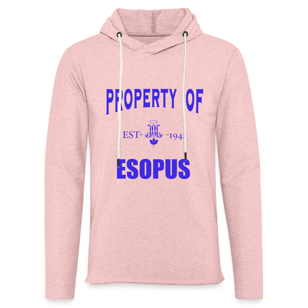 Unisex Lightweight Terry Hoodie - cream heather pink
