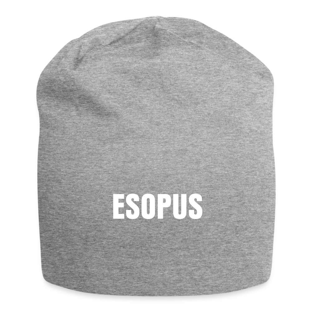 ESOPUS Jersey Beanie - heather gray