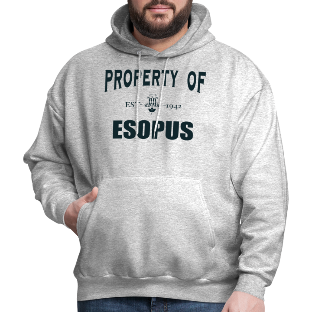 Property of Esopus - heather gray