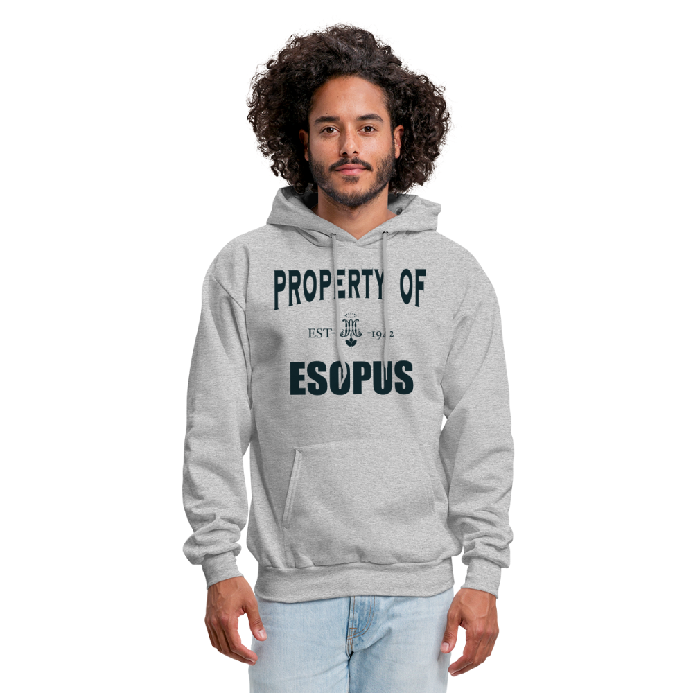 Property of Esopus - heather gray