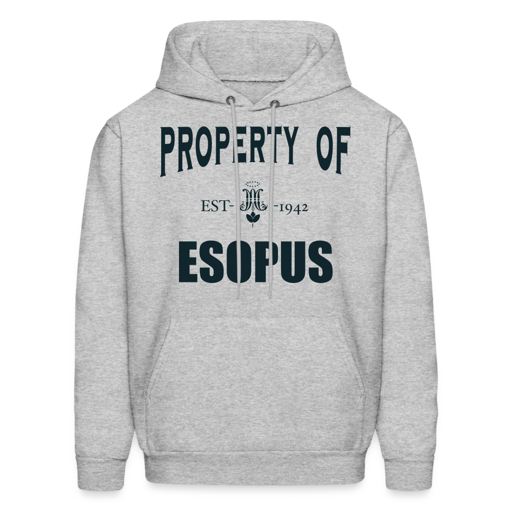 Property of Esopus - heather gray