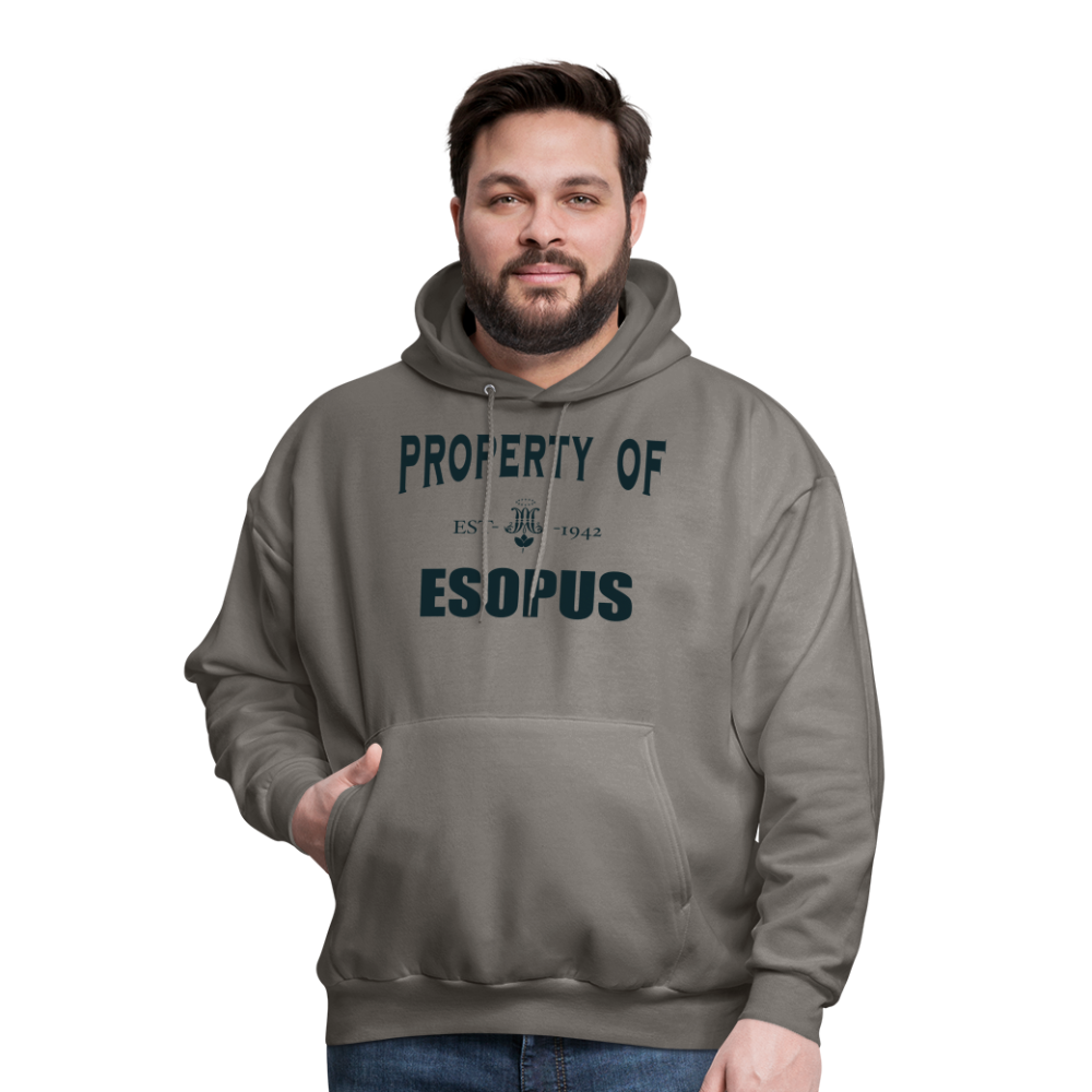 Property of Esopus - asphalt gray