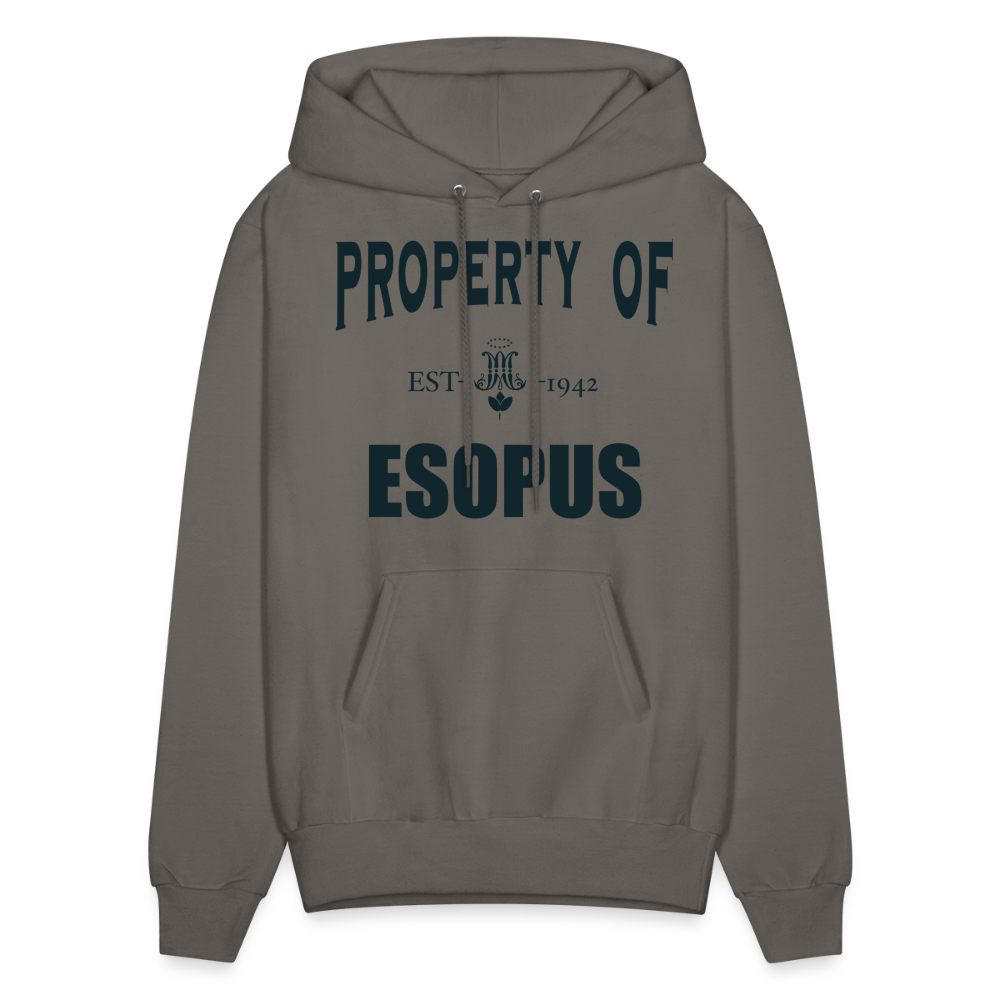 Property of Esopus - asphalt gray