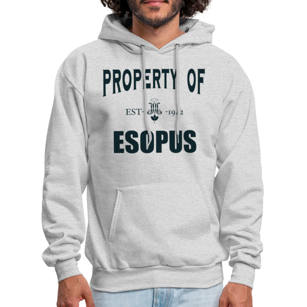 Property of Esopus - ash