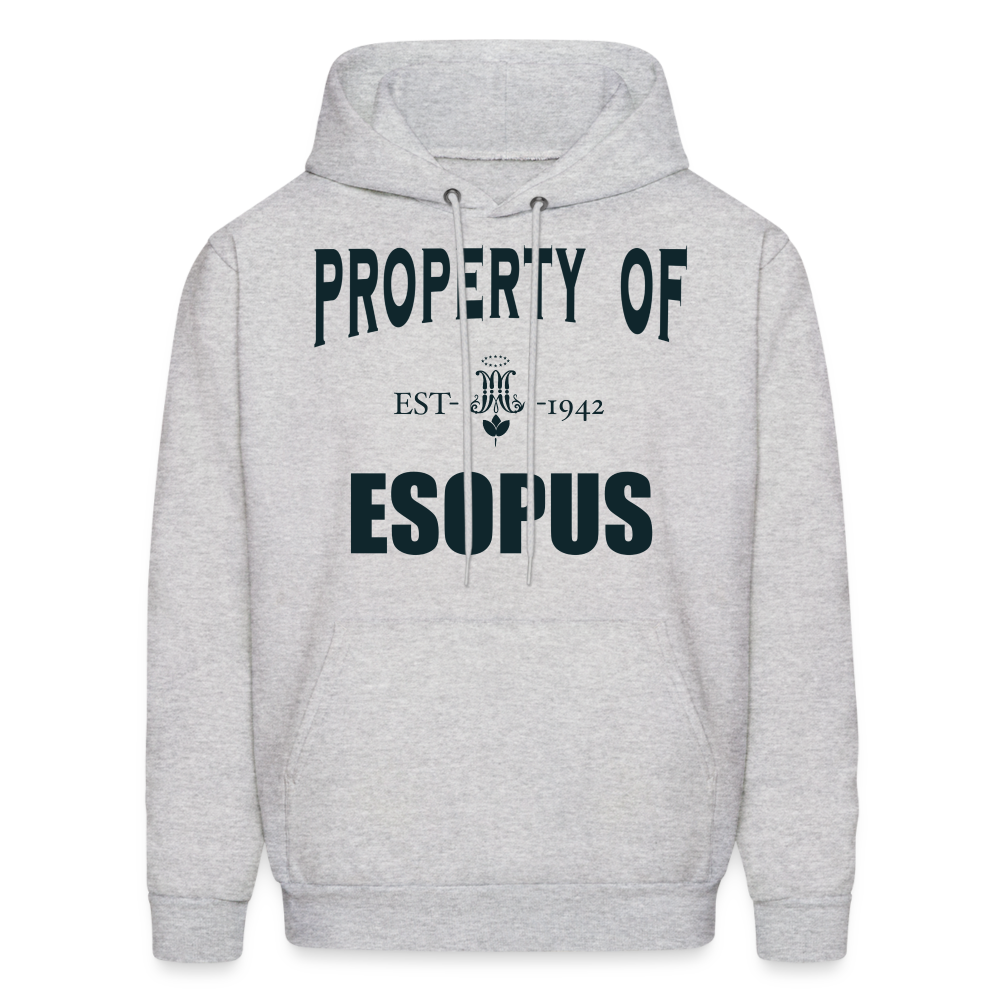 Property of Esopus - ash