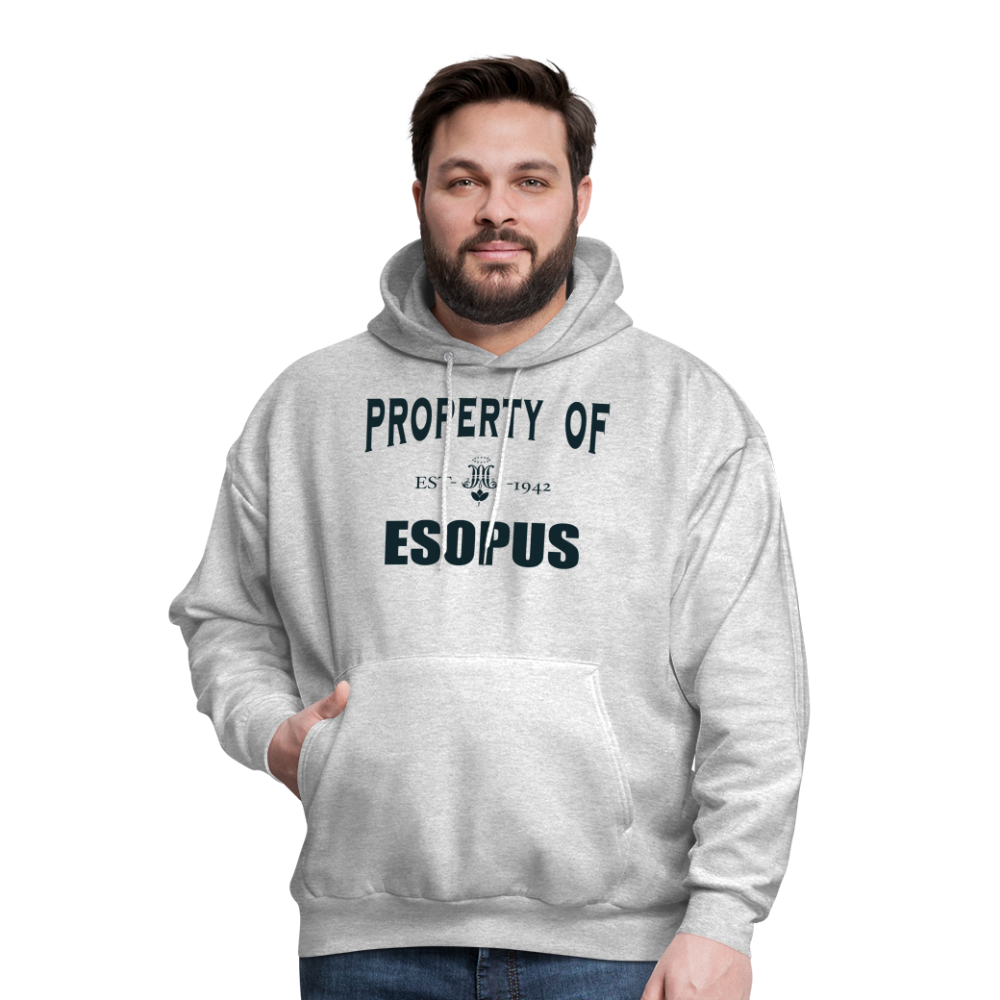 Property of Esopus - ash