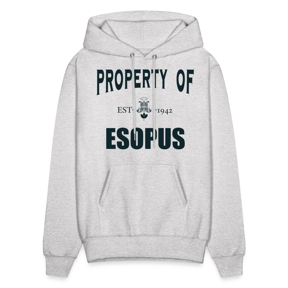 Property of Esopus - ash