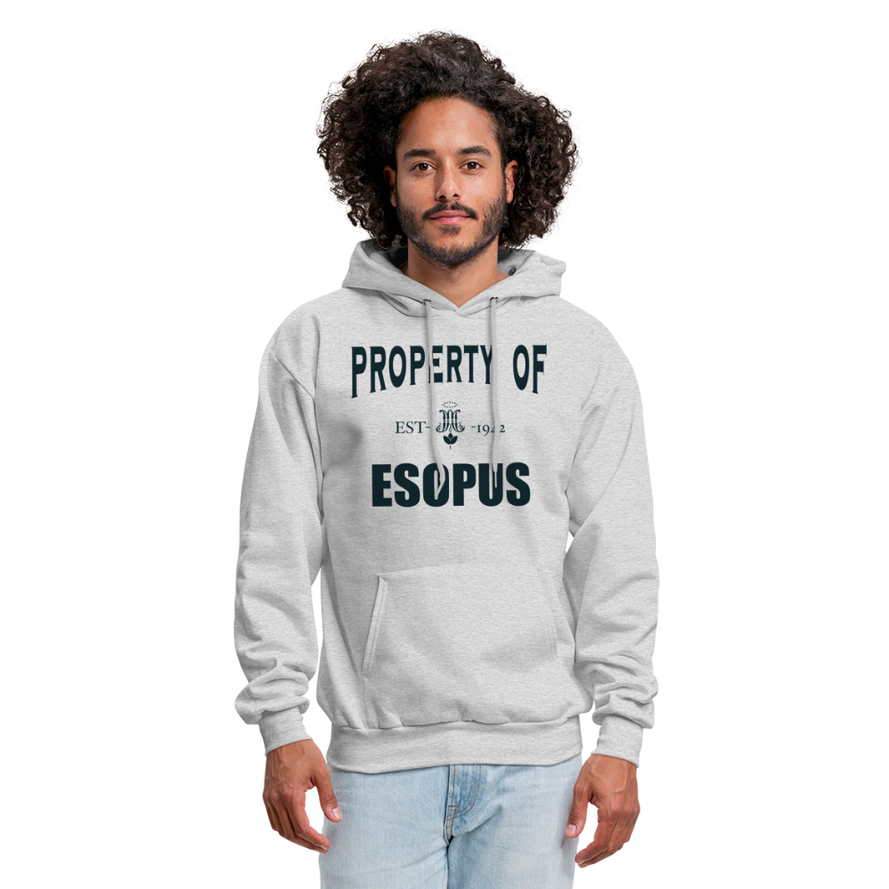 Property of Esopus - ash