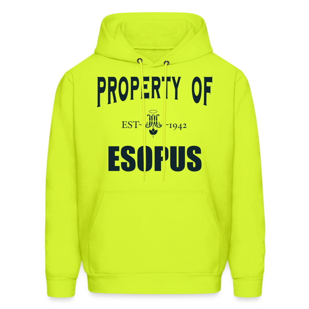 Property of Esopus - safety green