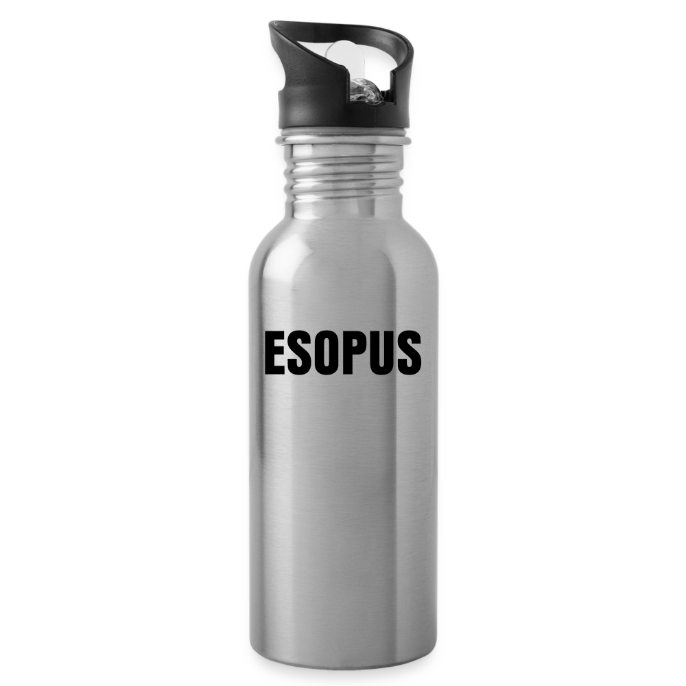 Water Bottle - silver