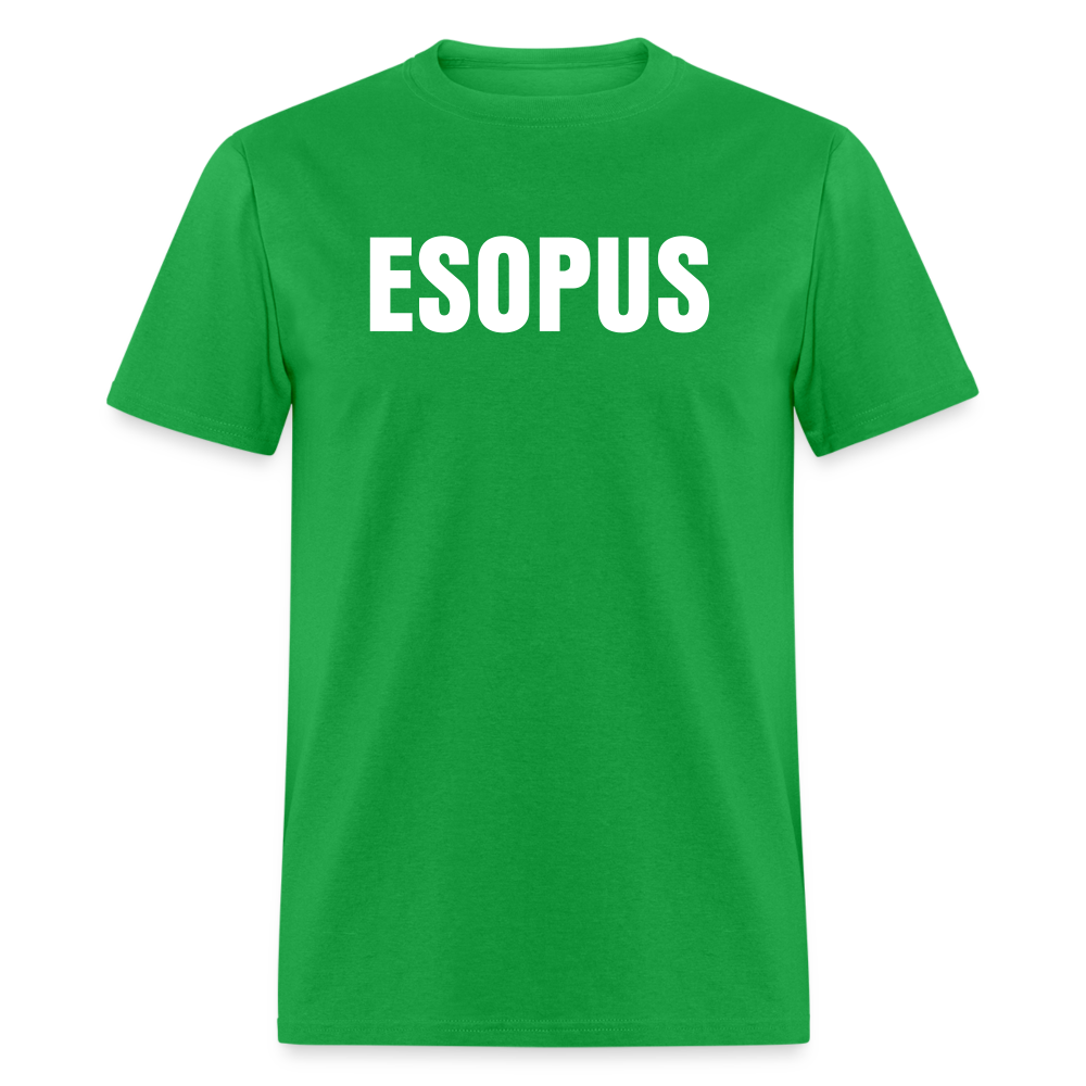 Esopus Classic T-Shirt - bright green