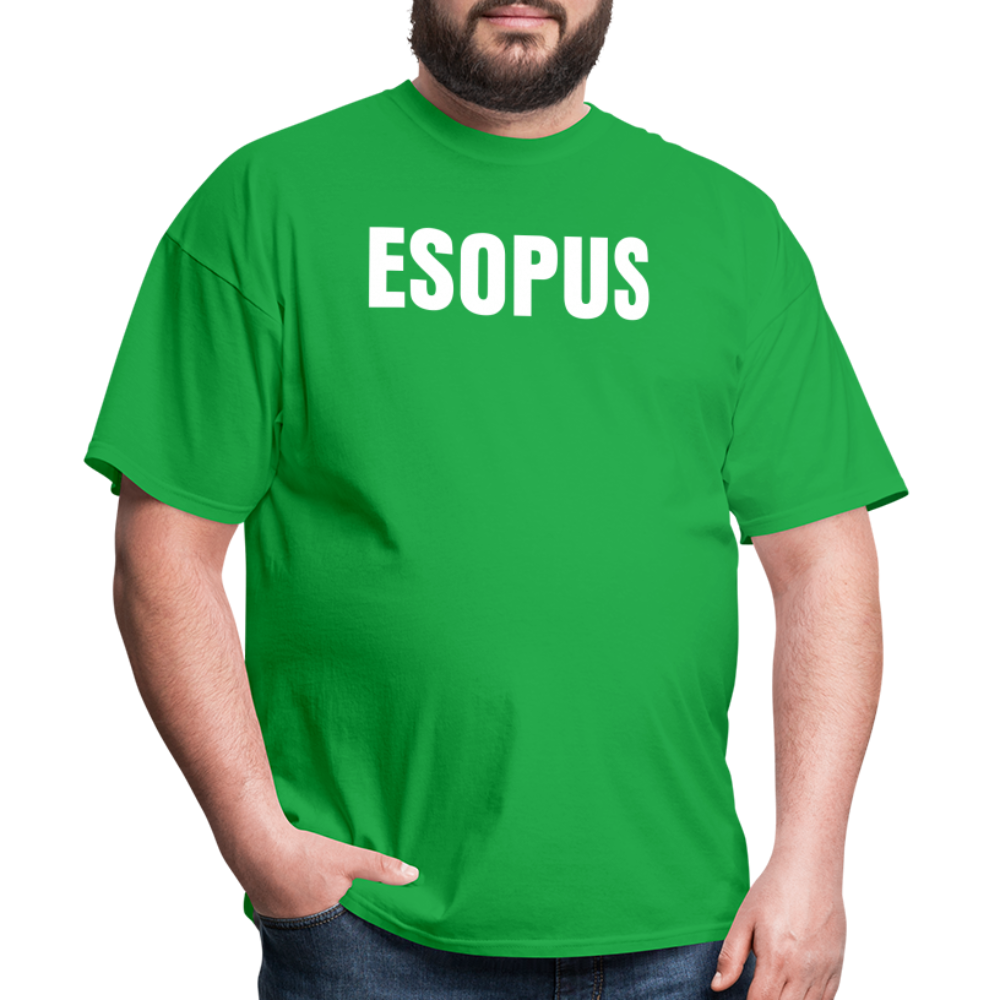 Esopus Classic T-Shirt - bright green