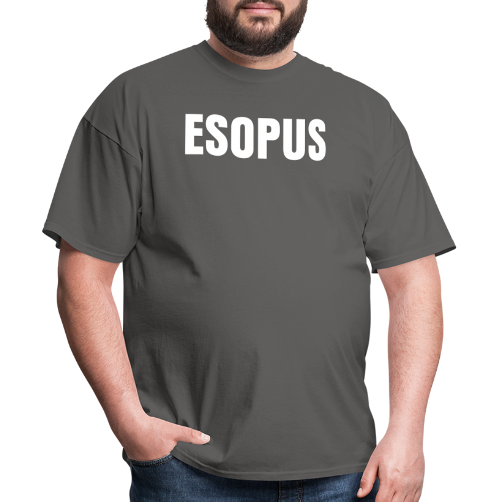 Esopus Classic T-Shirt - charcoal