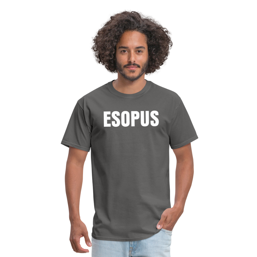 Esopus Classic T-Shirt - charcoal
