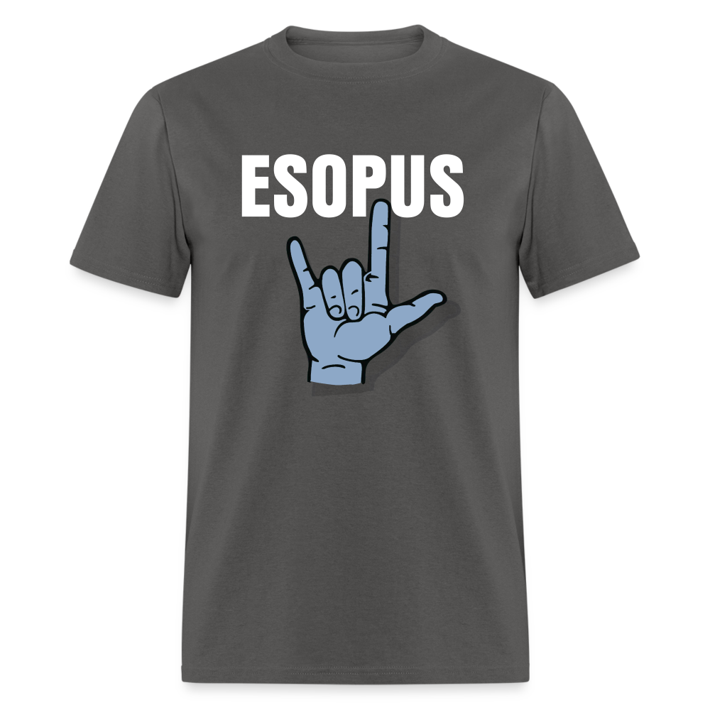Unisex Classic T-Shirt - charcoal