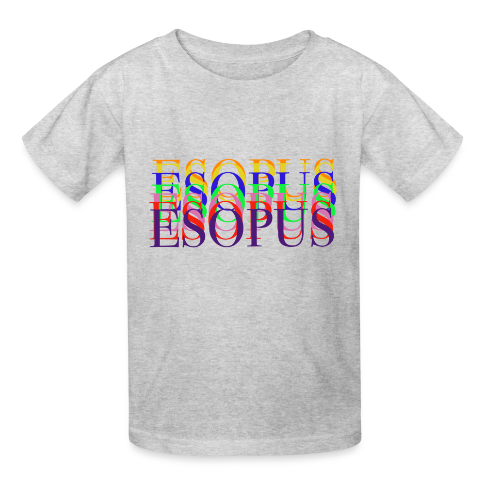 Hanes Youth Tagless T-Shirt - heather gray