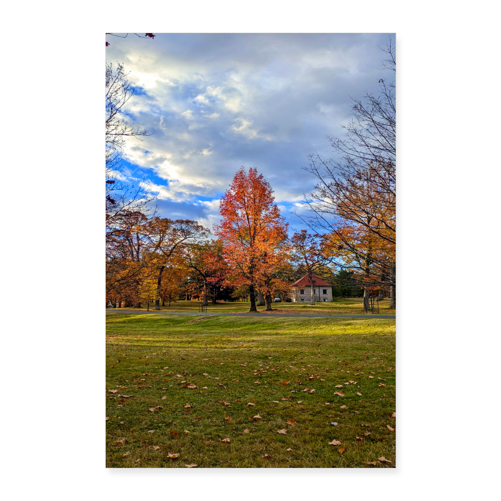 Poster 8x12  Autumn Skys - By Brother John Dunning - white