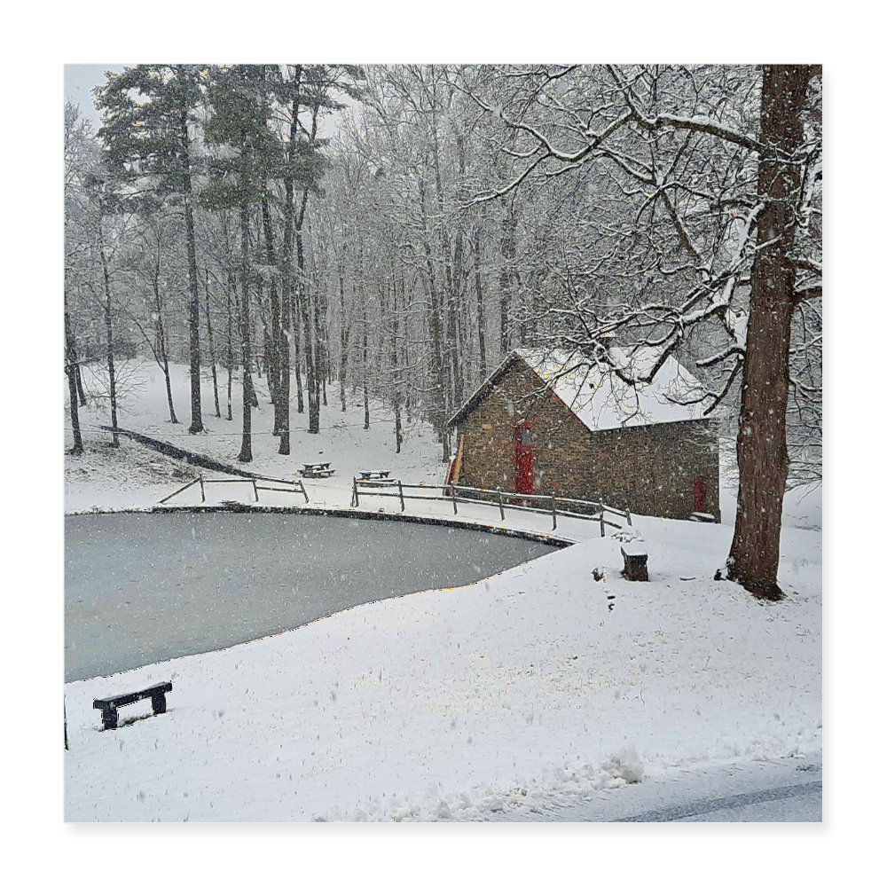 Poster 16x16  - Narnia:  By Brother John dunning - white