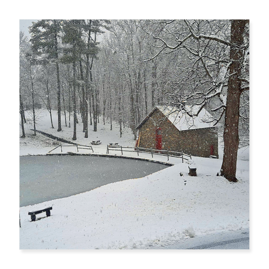 Poster 16x16  - Narnia:  By Brother John dunning - white