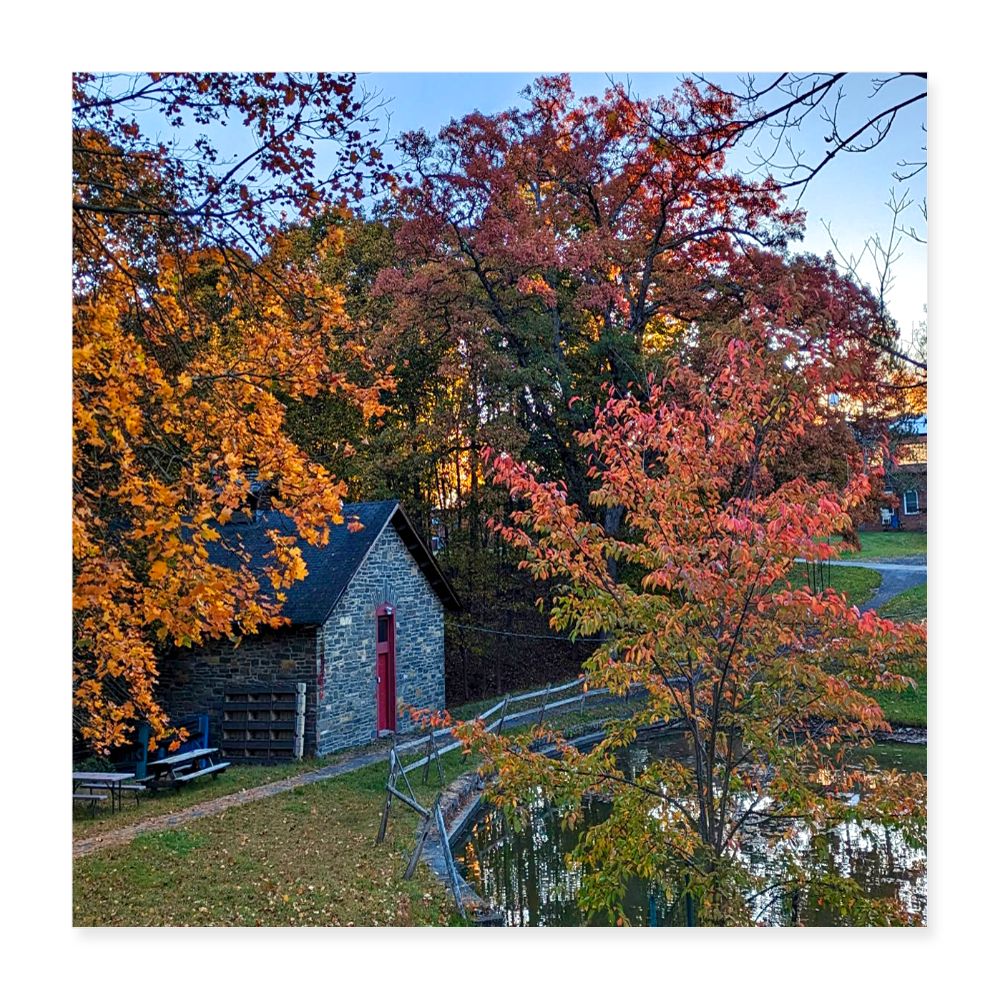 Poster 16x16  Autumn pond - By Brother John dunning - white
