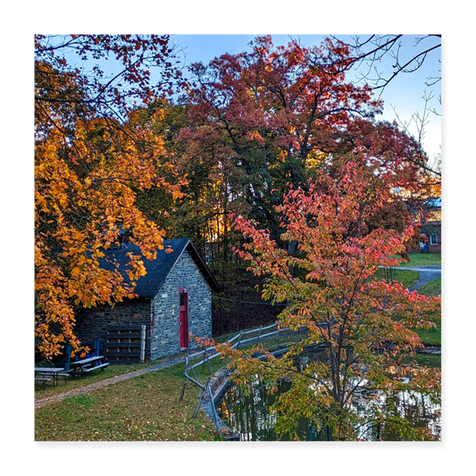 Poster 16x16  Autumn pond - By Brother John dunning - white