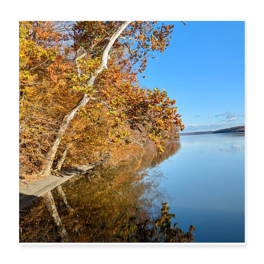 Poster 16x16 - white