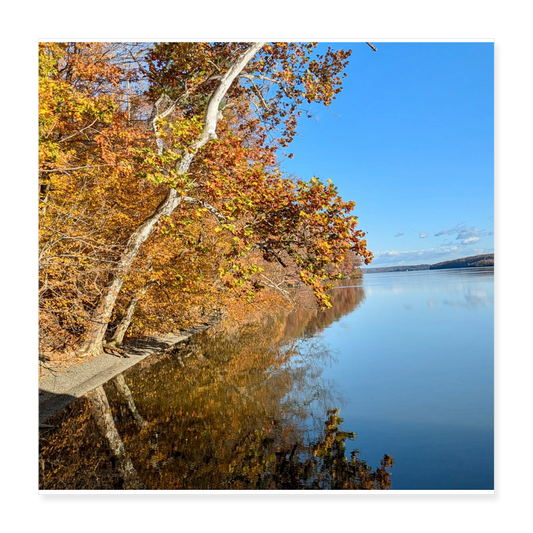 Poster 16x16 - white