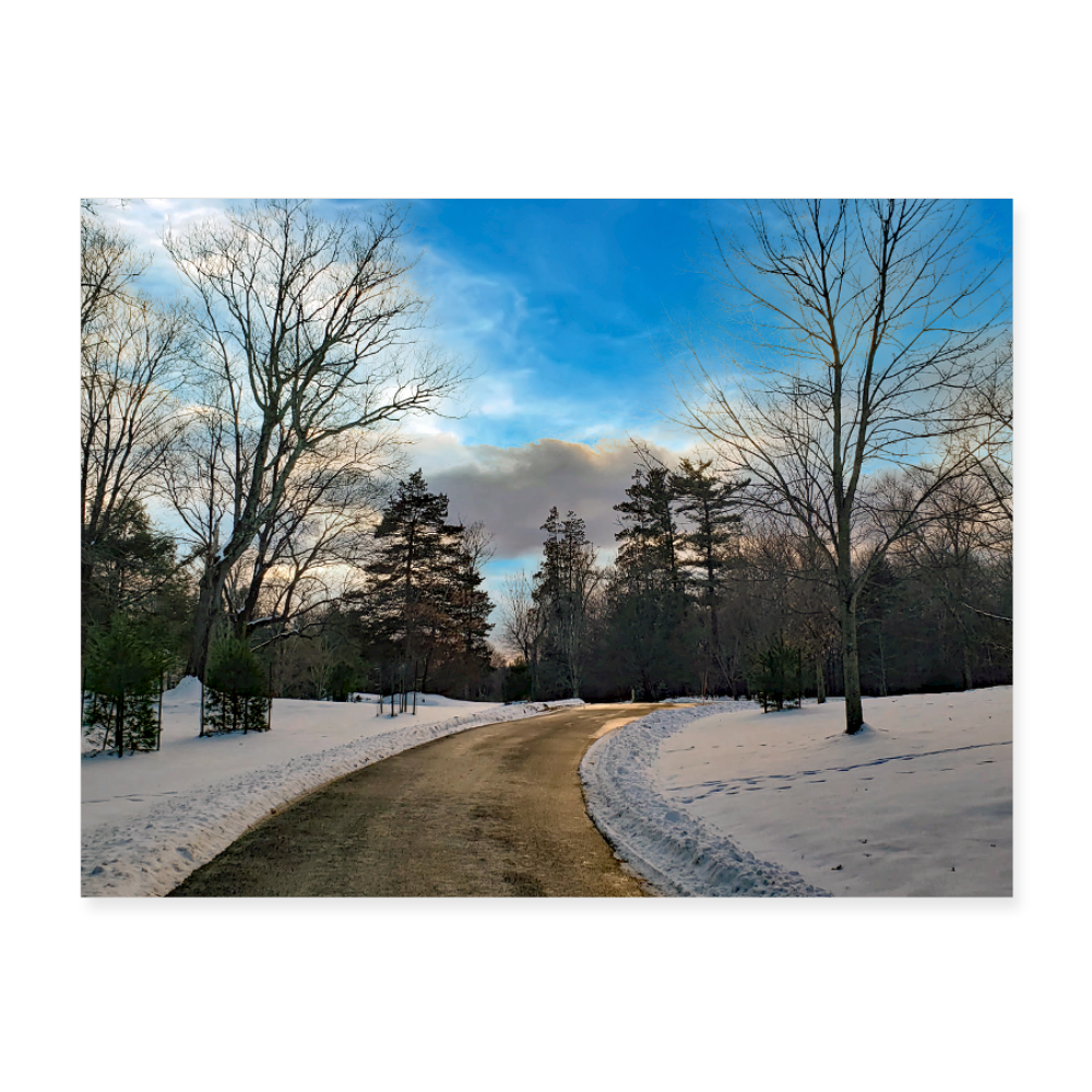 Poster 24x18 by Miriam Eisenmenger - white