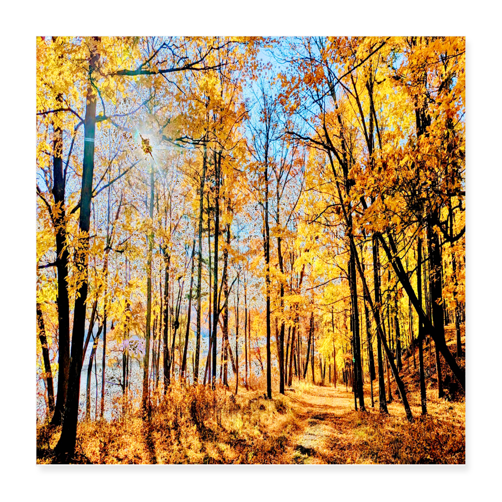 Poster 16x16  Autumn, Riverwalk by Bro. John Dunning - white