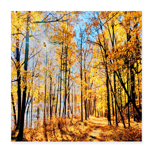 Poster 16x16  Autumn, Riverwalk by Bro. John Dunning - white