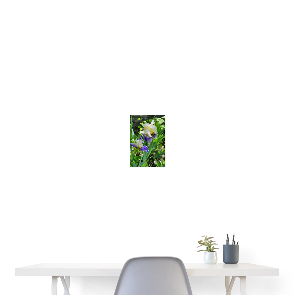 Poster 8x12 Flower Bloom 2 - By Brother John Dunning - white