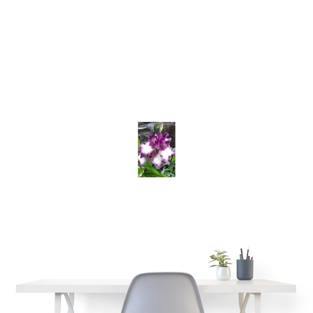 Poster 8x12 Fowers bloom - By Brother John Dunning - white