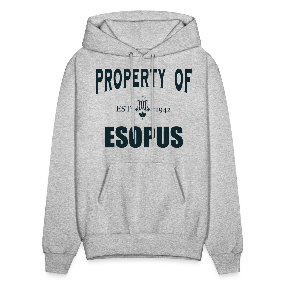 Property of Esopus - heather gray