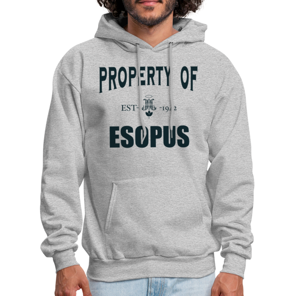 Property of Esopus - heather gray
