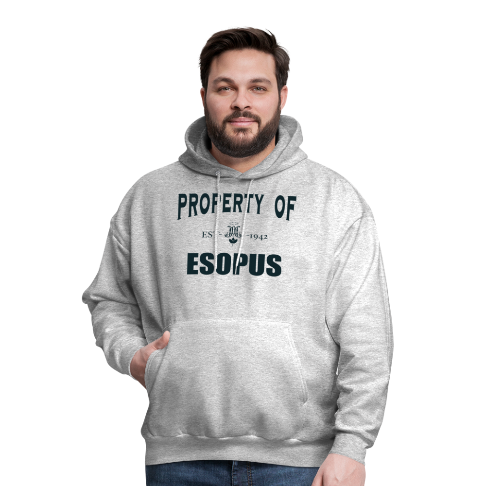 Property of Esopus - heather gray