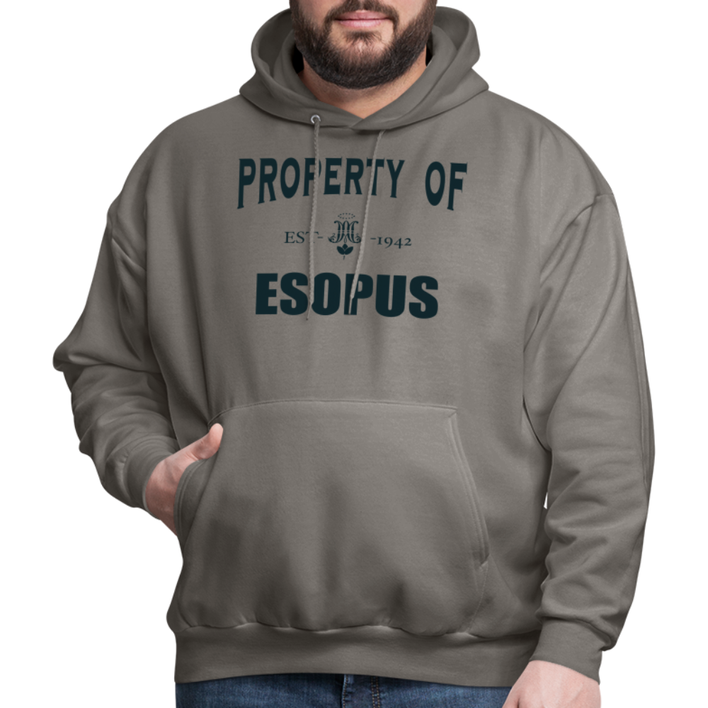 Property of Esopus - asphalt gray