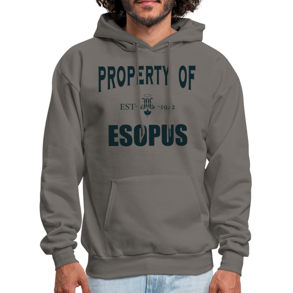 Property of Esopus - asphalt gray