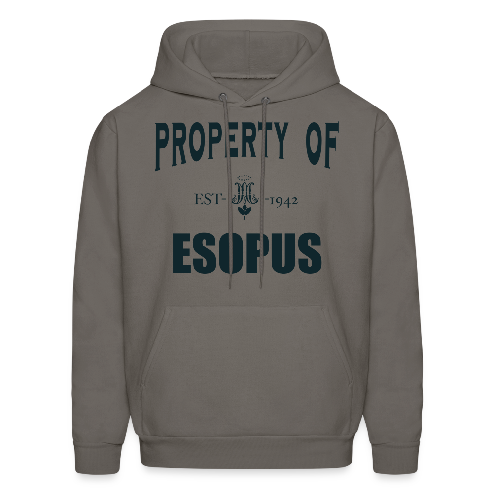 Property of Esopus - asphalt gray