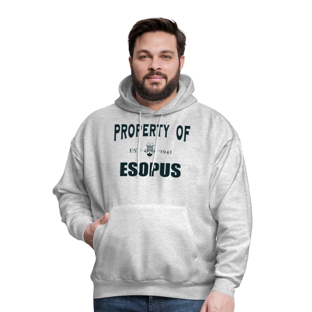 Property of Esopus - ash 