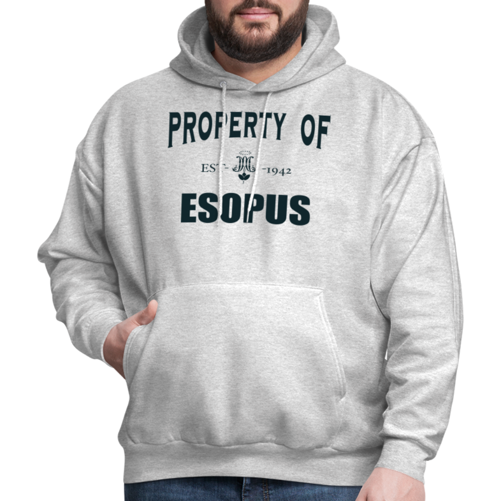 Property of Esopus - ash 